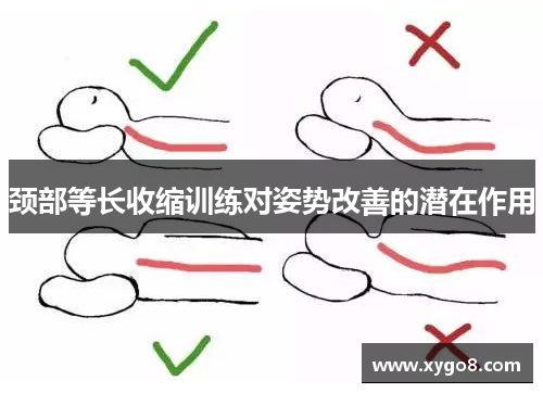 颈部等长收缩训练对姿势改善的潜在作用